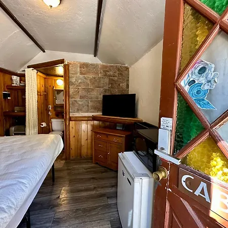 Big Bear Lake - Tulip Lane Cabin #23 - Micro Cabin-3