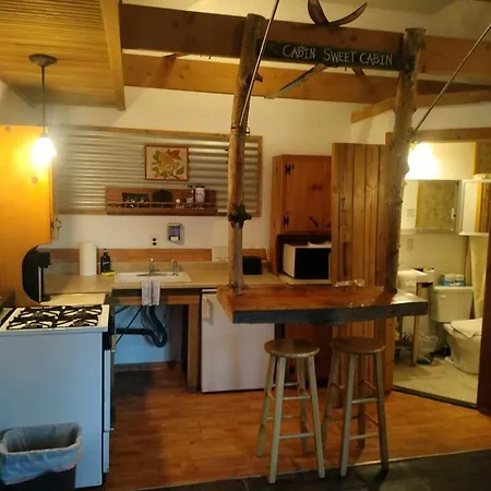 Big Bear Lake - Tulip Lane Cabin #26-3